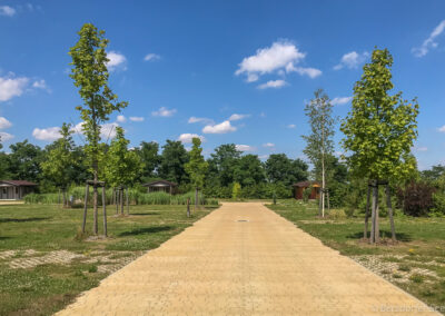 Ścieżka łącząca na kempingu przy Blue Lagoon, Berzdorfer See.